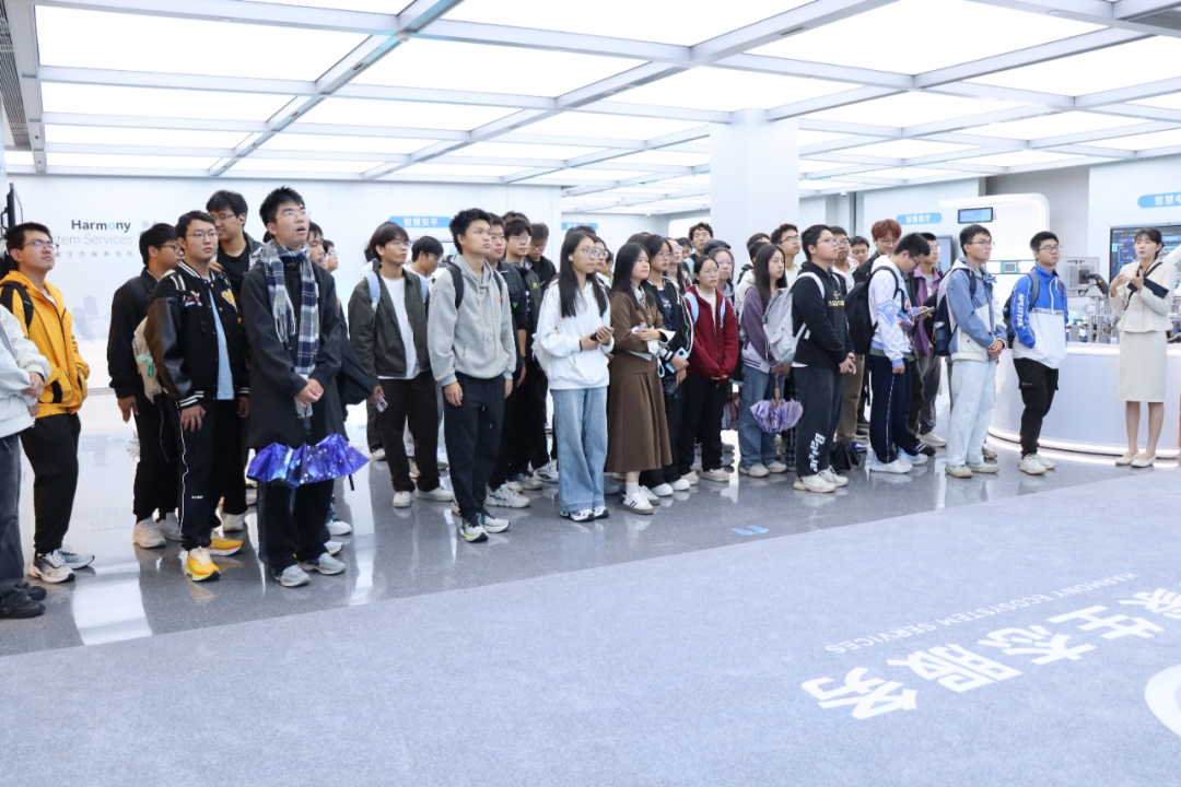 鸿蒙生态 鸿蒙生态